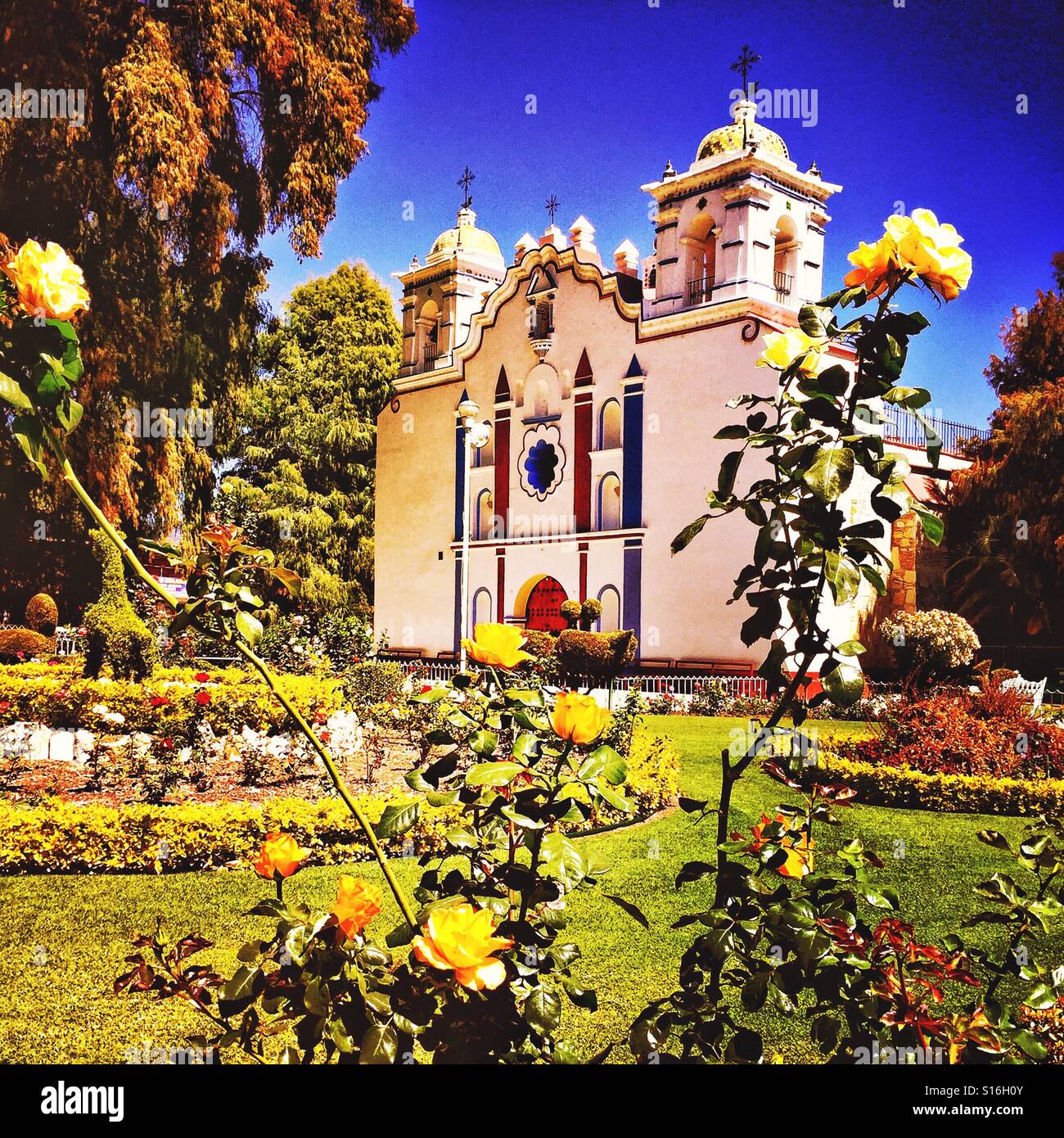 Santa María del Tule in Oaxaca, Mexiko befindet sich eine berühmte Tule-Baum auf dem Gelände dieser schönen Barock-Kirche, El Templo de Santa María De La Asunción. Stockfoto