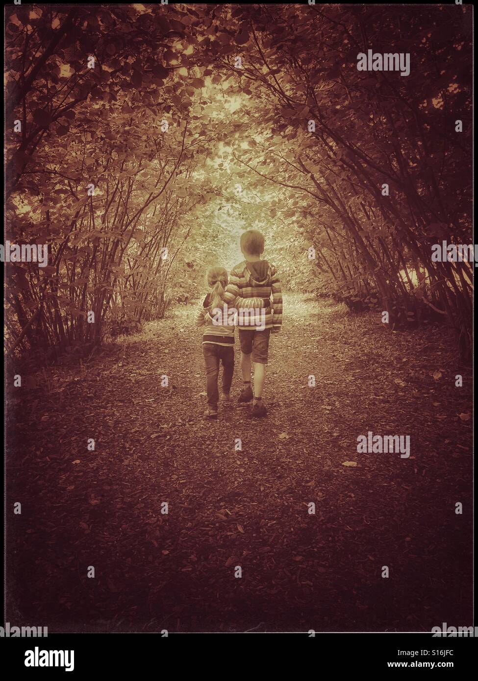 Ein 6-jähriger Junge hält seine 4 jährige Schwester, als sie einen von Bäumen gesäumten Weg gehen. Ein Bild, um die Geschwisterliebe, Einheit und Fürsorge füreinander zu veranschaulichen. Bildnachweis - © COLIN HOSKINS. - Smartphone-aufgenommenes Stockfoto