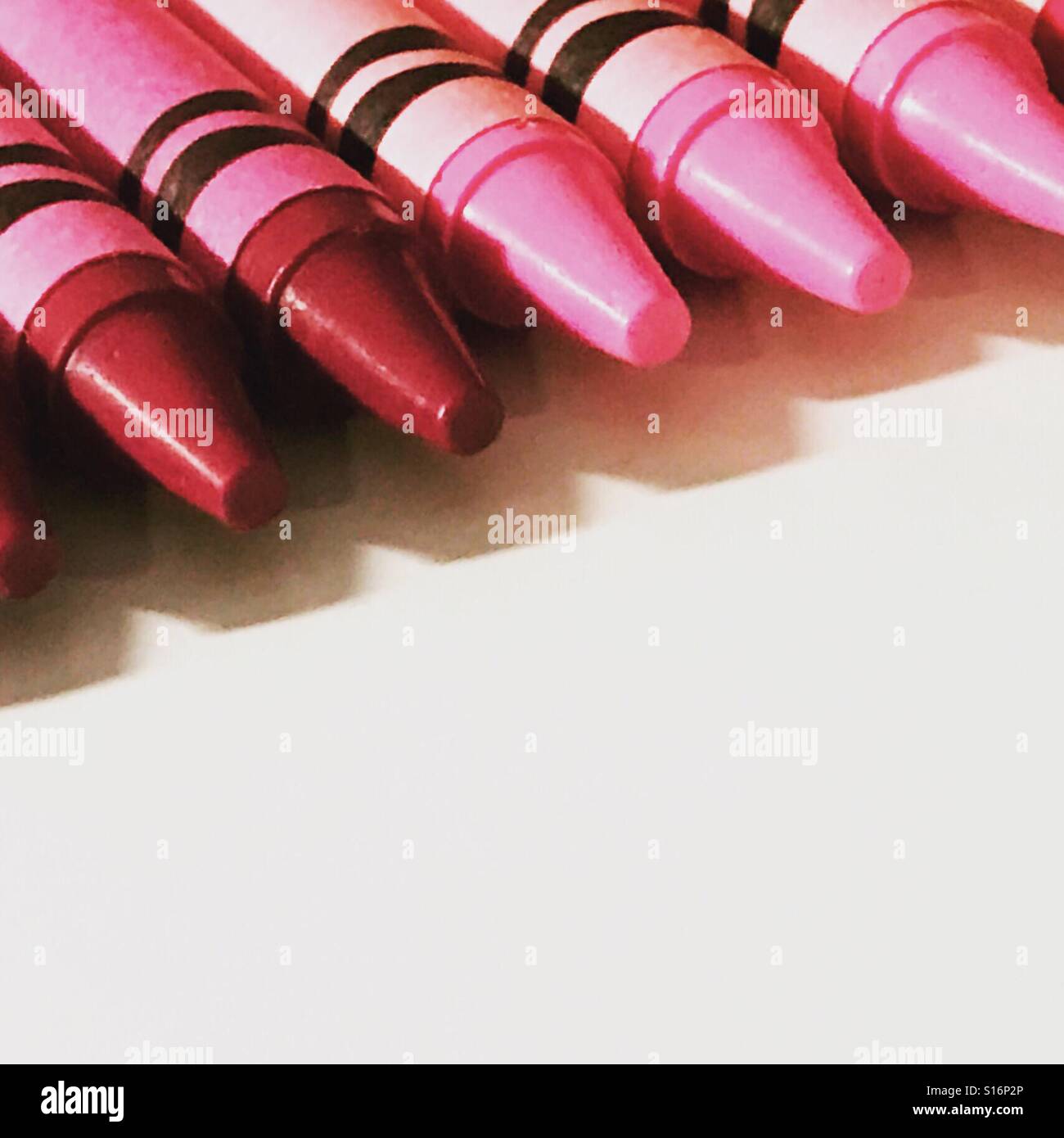 Rosa und roten Farbverlauf Buntstifte in einer Reihe.  Nahaufnahme Foto von Kreide Spitzen der bunten rot- und Pinktönen.  Buntstiften auf einem weißen Hintergrund Stockfoto