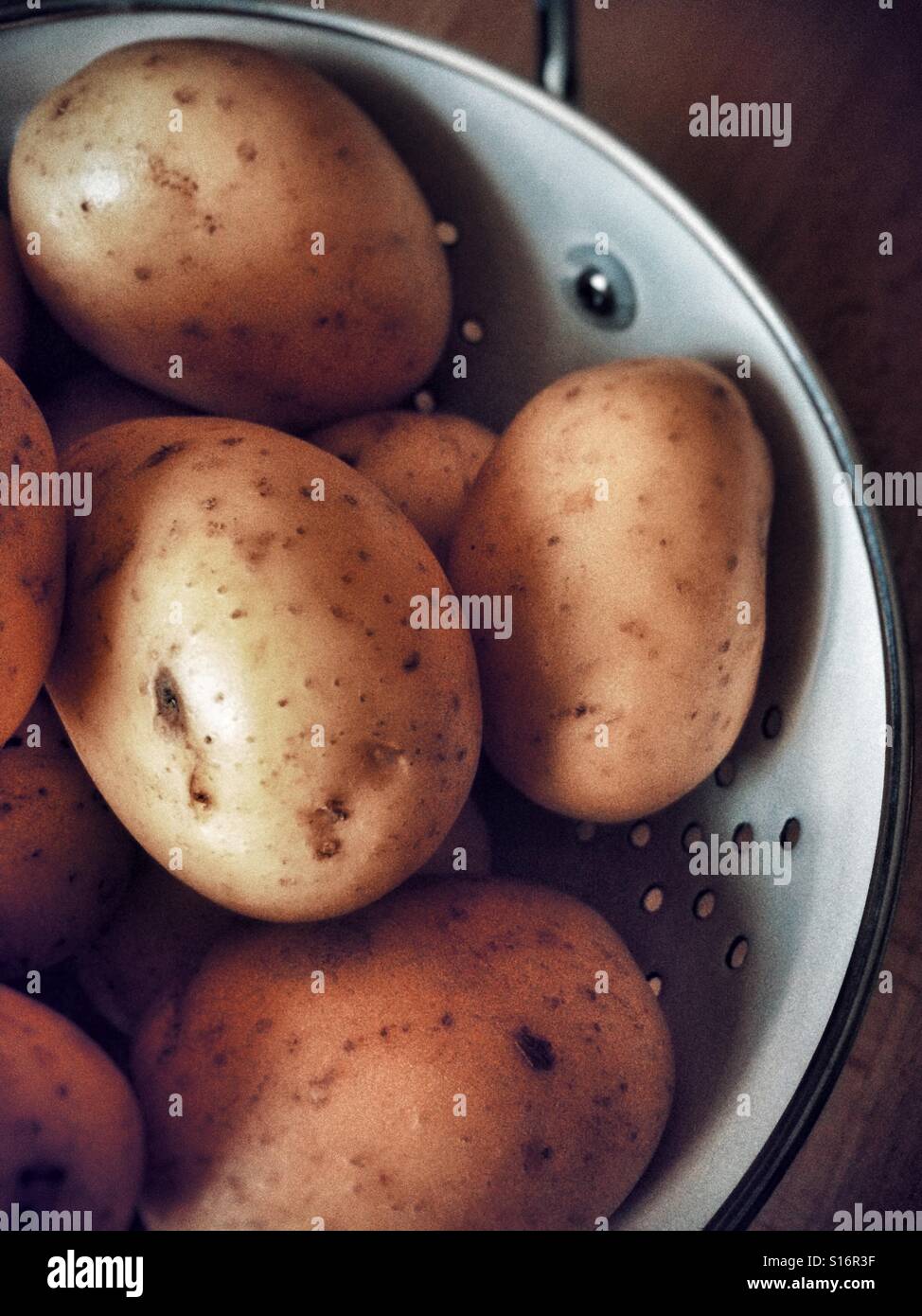 Rohe Neukartoffeln im Sieb - Smartphone-aufgenommenes Stockfoto