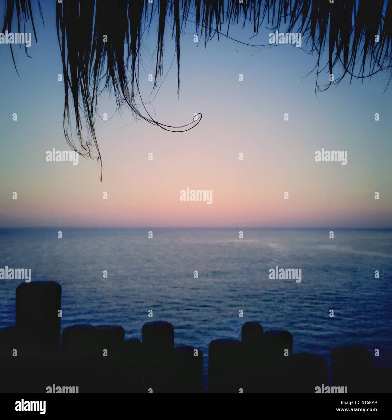 Weiche Pastellfarben Tönung am Morgenhimmel über dem Pazifischen Ozean betrachtet zwischen ein wispy Palmendach Wedel und der zerklüfteten Wand. Stockfoto