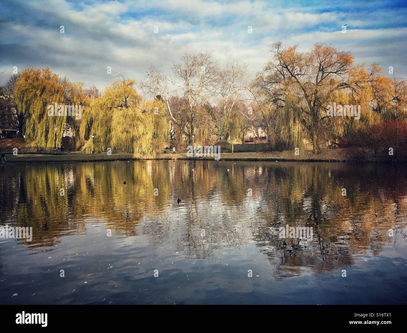 Herbstliche Landschaft im Moczydlo Park in Wola Bezirk von Warschau, Polen Stockfoto