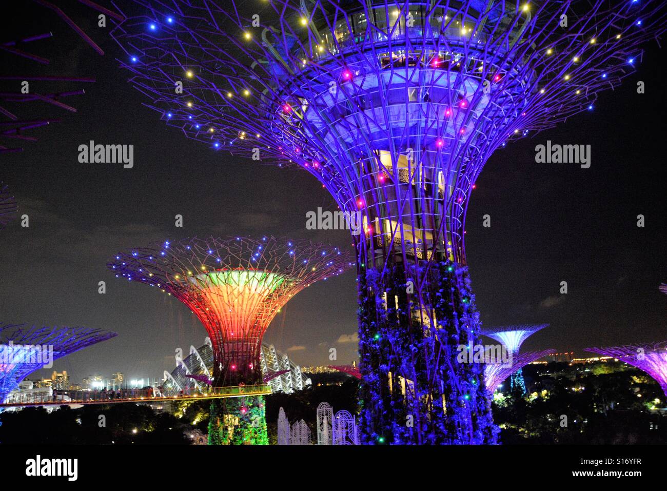 Die hell erleuchteten Riesen floralen Skulpturen von Gardens By The Bay, Marina Bay, Singapur, in der Nacht. Stockfoto