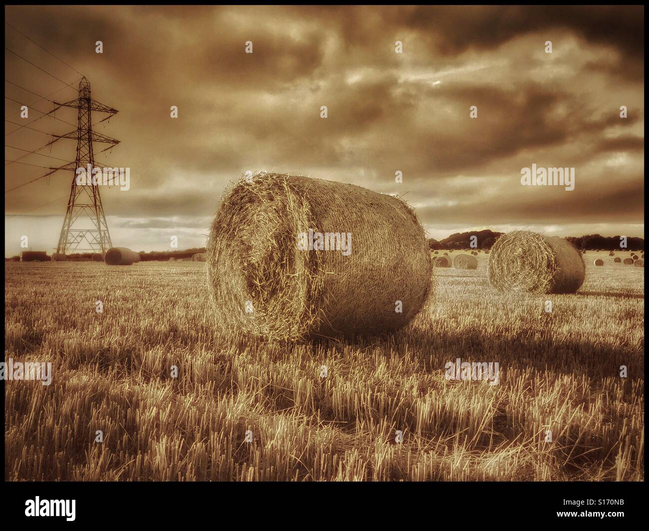 Eine warme getönten monochromes Bild eines vor kurzem produzierten Feldes von Heuballen. Die Sonne beginnt, hinter die Strommasten und Kabel festgelegt. Es ist August in England. Bildnachweis - © COLIN HOSKINS. - Smartphone-aufgenommenes Stockfoto