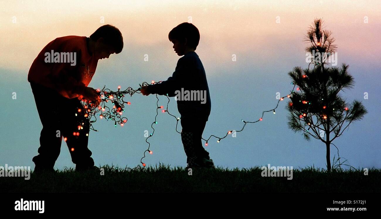 Kinder versuchen, Weihnachtsbeleuchtung zu entwirren, wie sie einen Baum in ihrem Garten schmücken Stockfoto