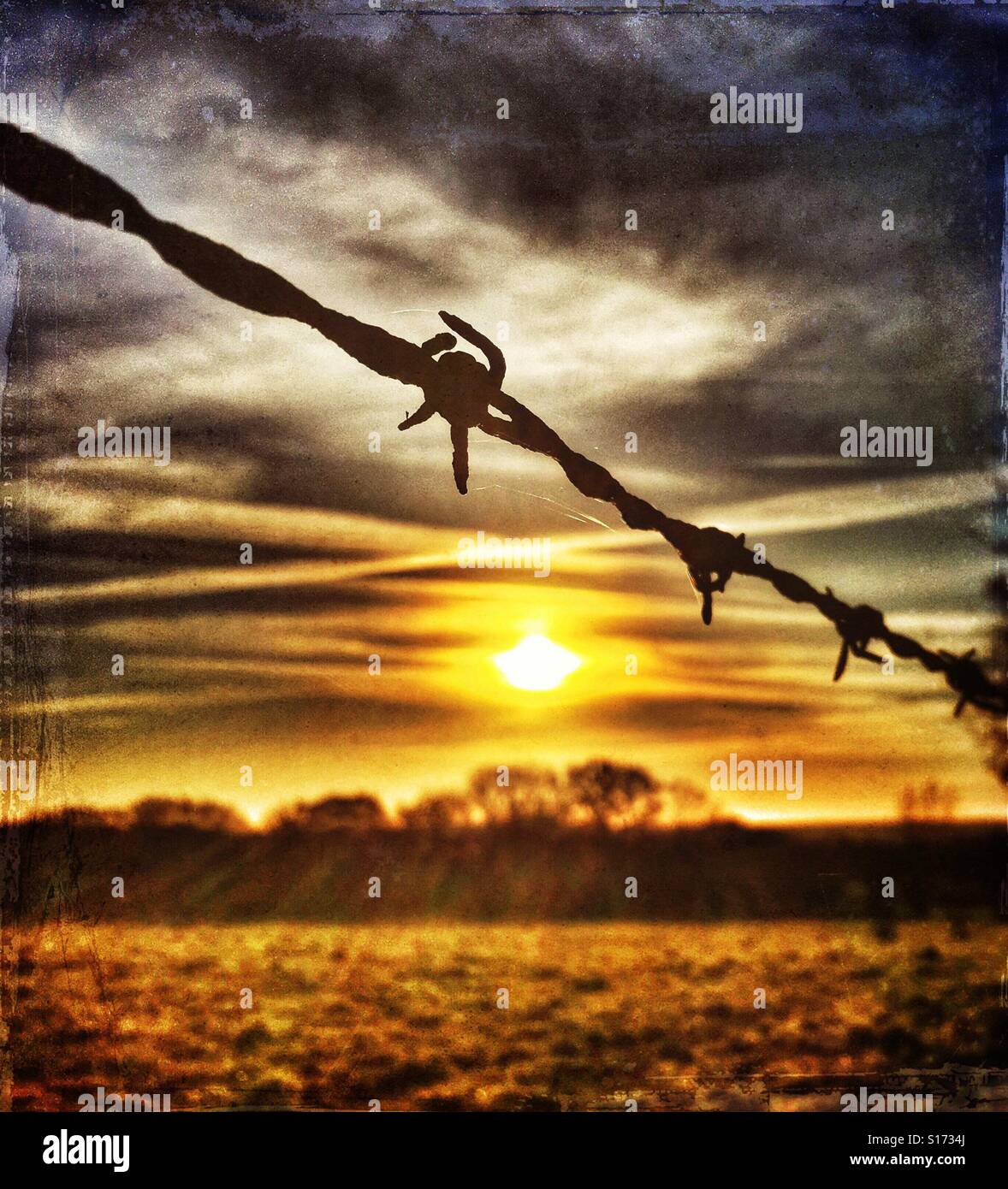 Stacheldraht in der Silhouette gegen die untergehende Sonne in der Natur - Smartphone-aufgenommenes Stockfoto