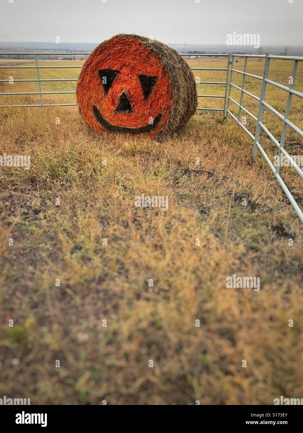 Ein Heuballen mit einer Jack-o-Laterne Gesicht verziert. - Smartphone-aufgenommenes Stockfoto