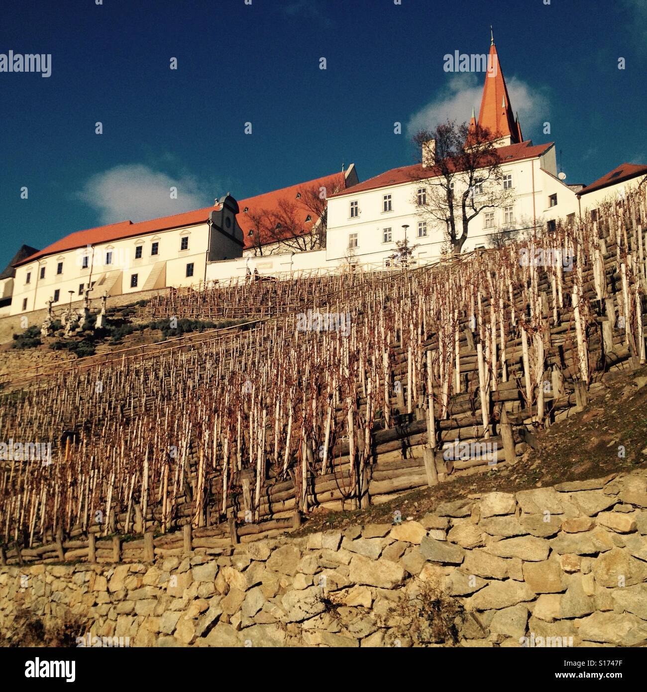 Altstadt mit Weinberg in Znojmo, CZE Stockfoto