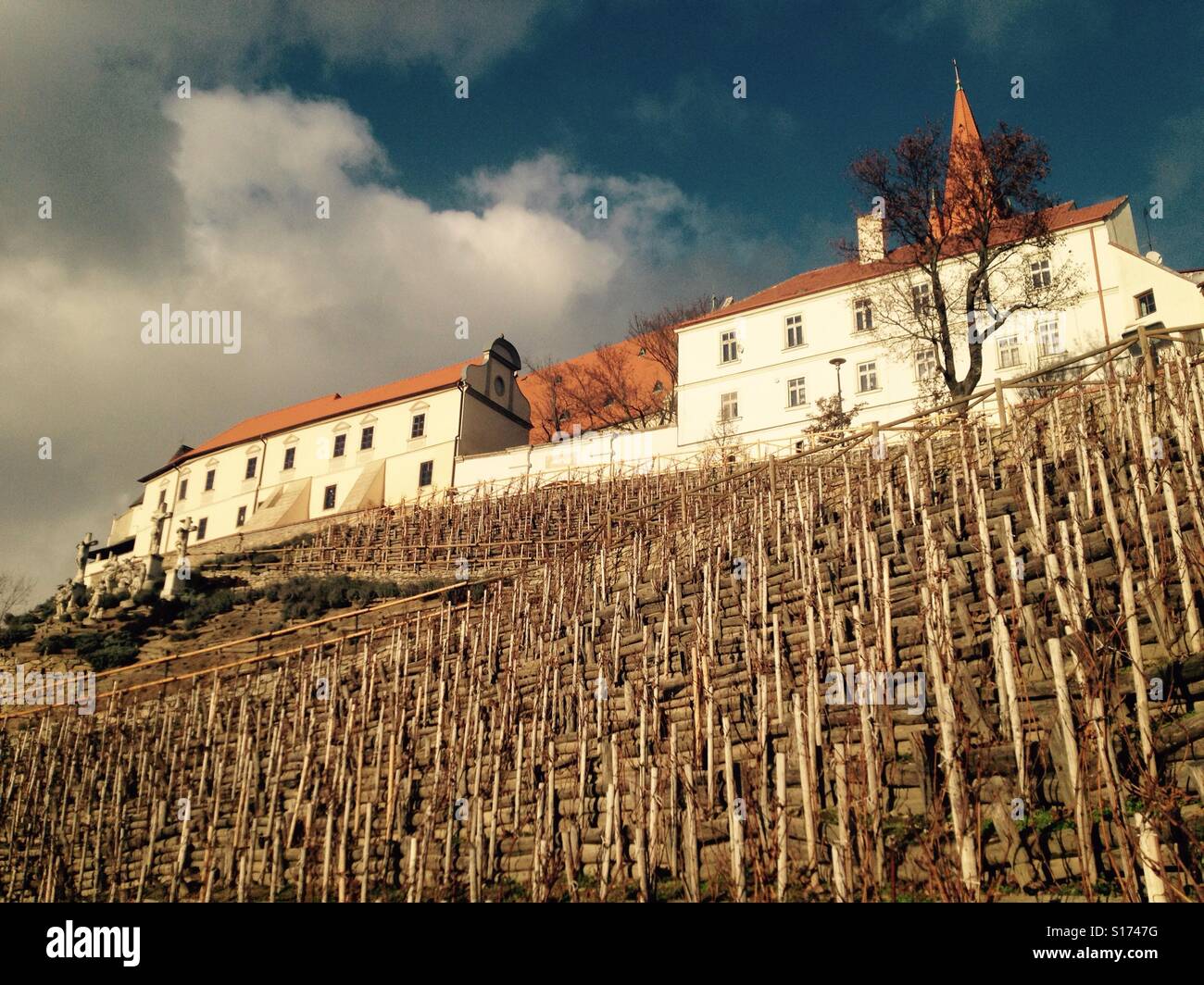 Alte Kirche mit Weinberg in der Tschechischen Republik Stockfoto