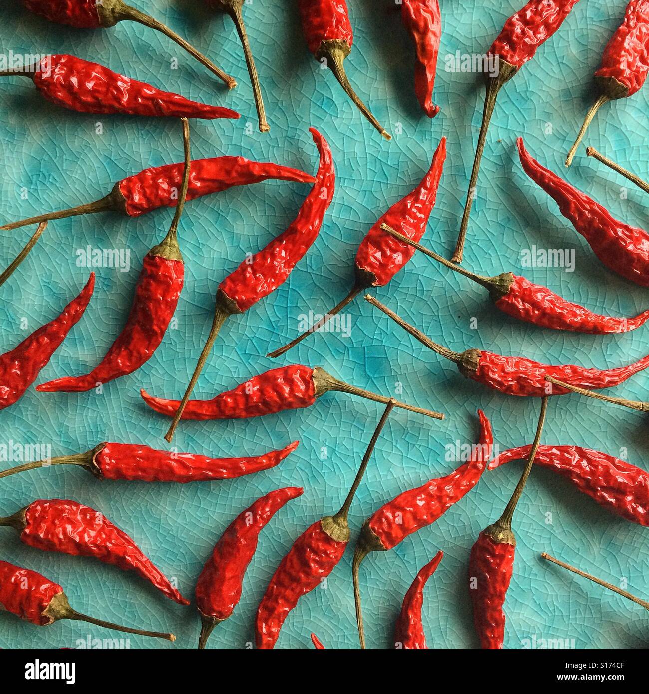 Getrocknete Chili Stockfoto