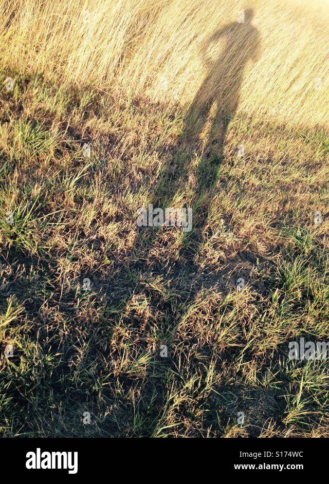 Mann-Silhouette auf dem Gebiet des Grases Stockfoto