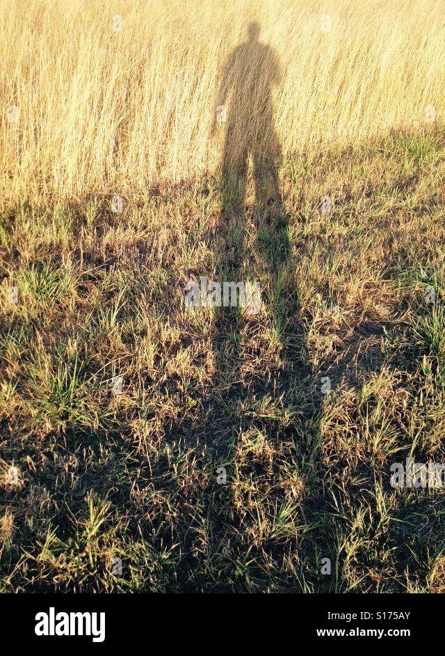 Schatten eines Mannes auf Wiese Stockfoto