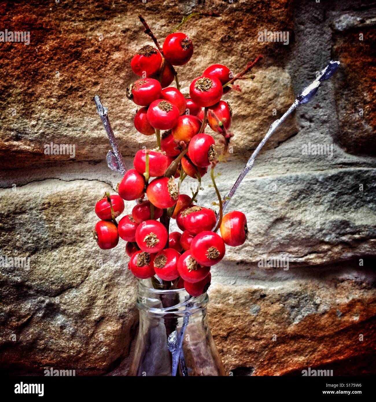 Rot Weihnachten Beeren in vase Stockfoto