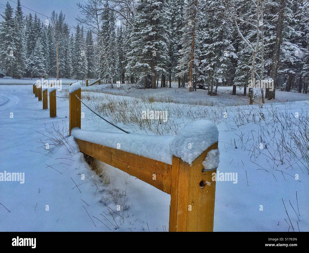 Wald und Zaun an einem verschneiten Tag - Smartphone-aufgenommenes Stockfoto