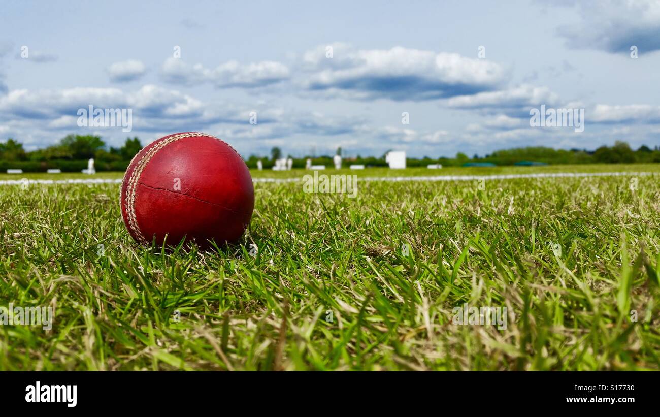 Dorf-Cricket Stockfoto
