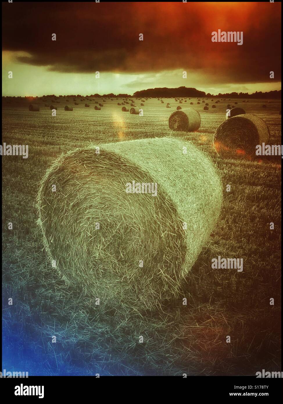 Ein Retro-Film Effekt Bild ein offenes Feld, enthält viele Heuballen. Im Vordergrund steht eine große Runde Heuballen, fangen das Sonnenlicht am Abend. Bildnachweis - © COLIN HOSKINS. - Smartphone-aufgenommenes Stockfoto