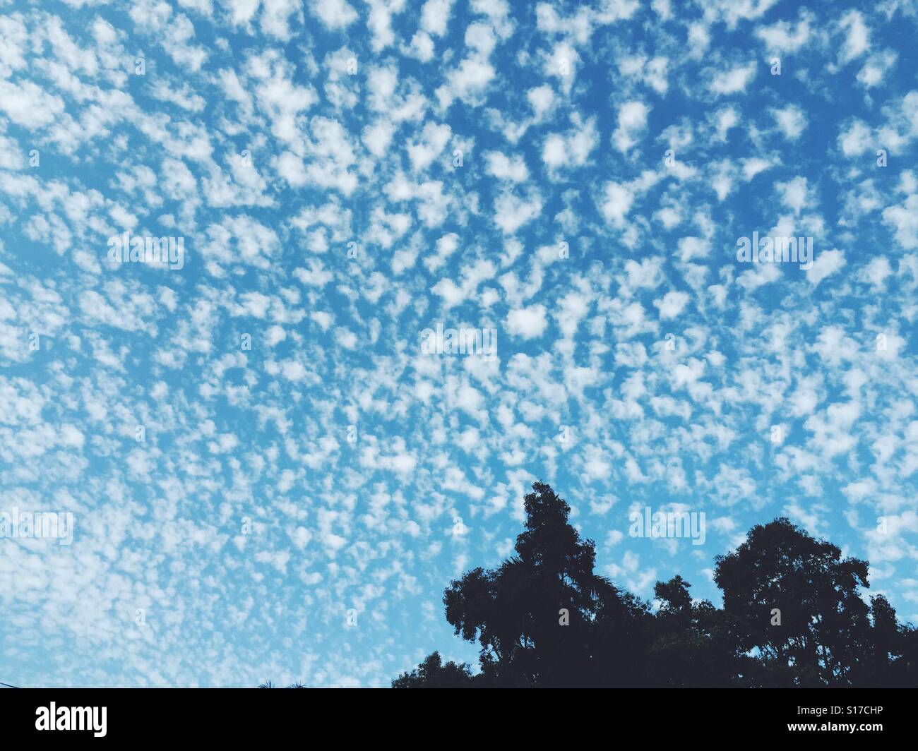 Seltene Wolken in den Himmel verstreut. Stockfoto