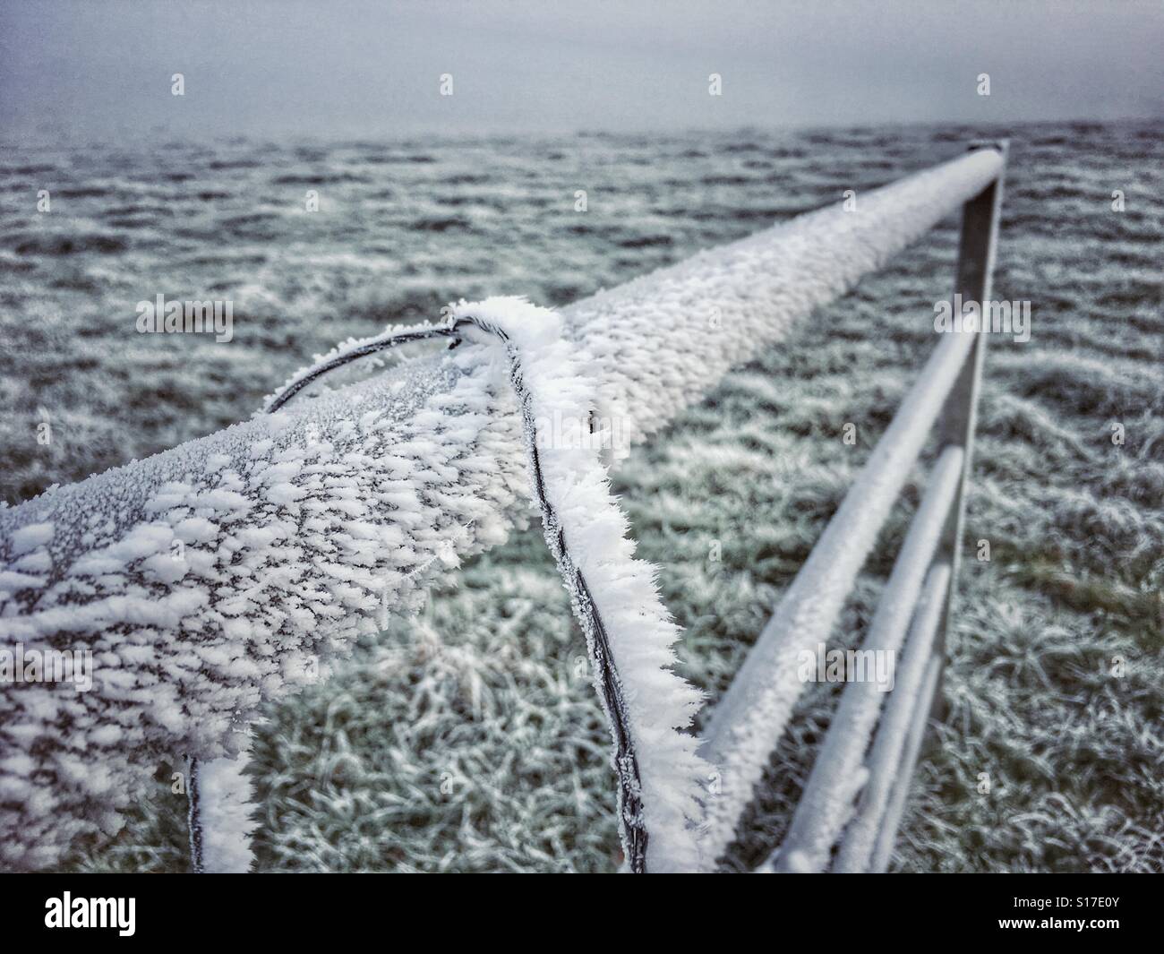 Raureif auf einem Feld Tor in ländlichen Somerset - Smartphone-aufgenommenes Stockfoto