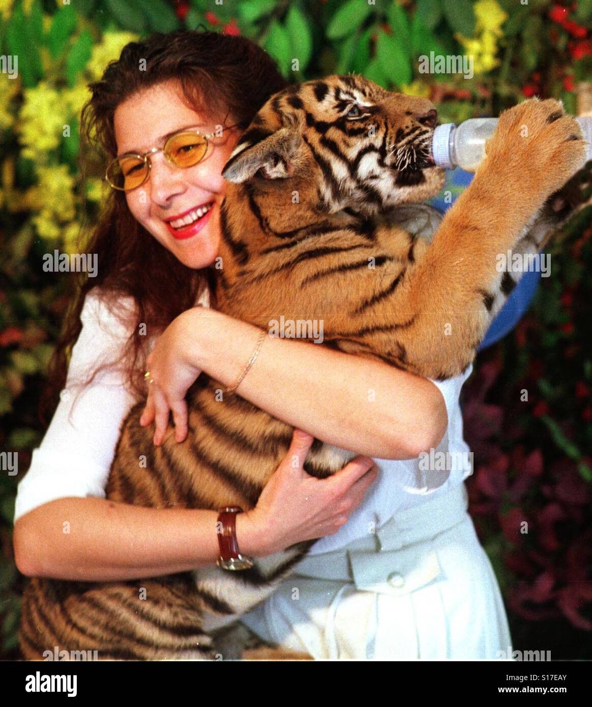 Eine Frau hält und Flasche füttert ein Baby Tiger in Thailand - Smartphone-aufgenommenes Stockfoto