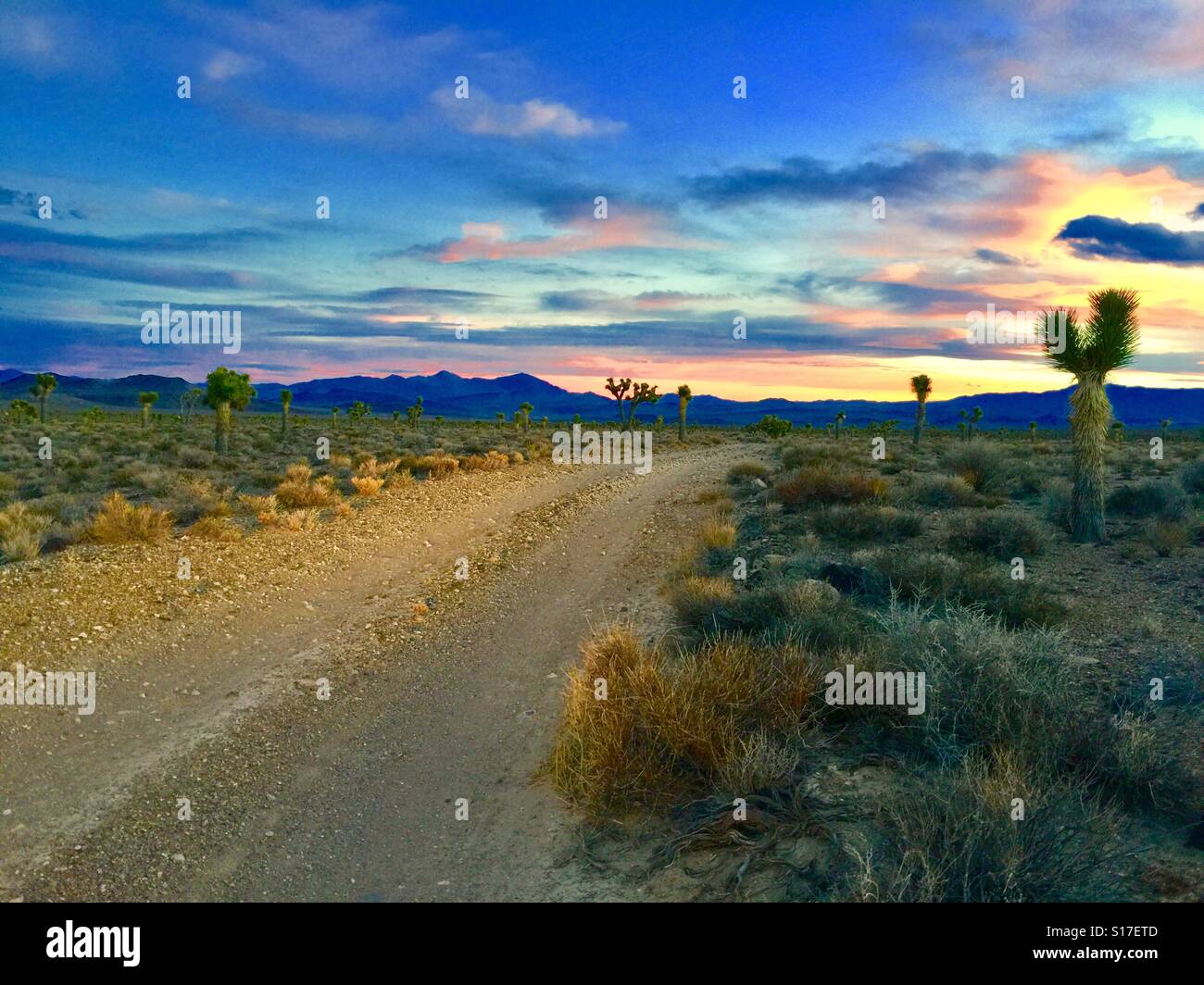 Death Valley Road Stockfoto