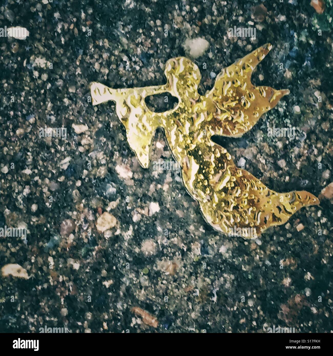 Engel Gold Konfetti auf dem Bürgersteig im Regen gefallen Stockfoto