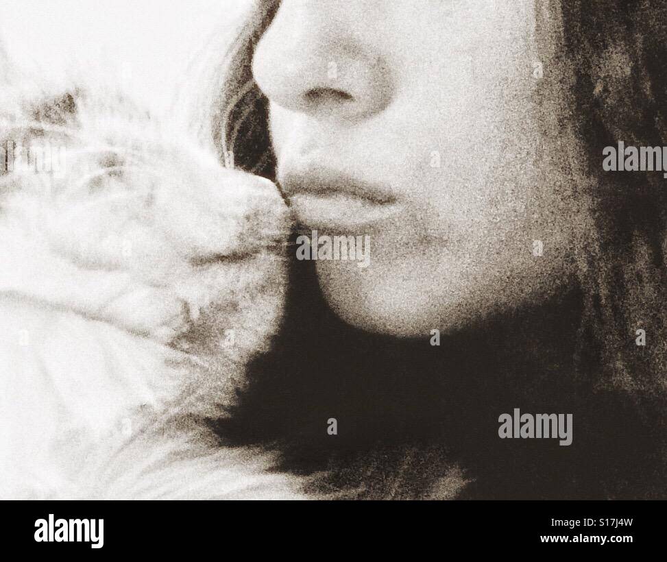 Kuss von der Katze - Smartphone-aufgenommenes Stockfoto