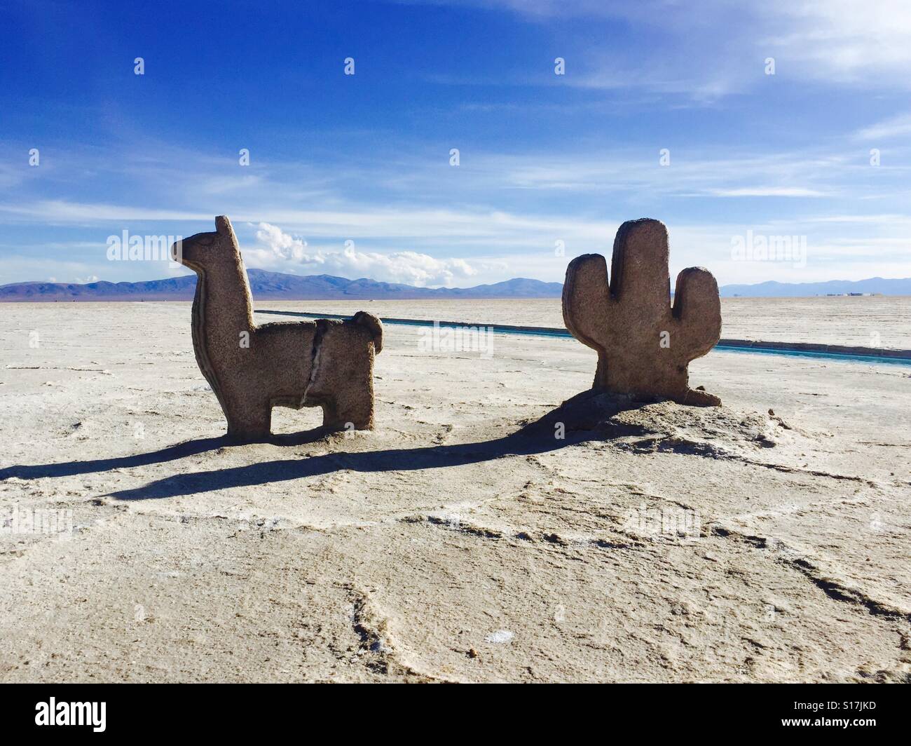 Salz Ausbeutung, Salinas Grandes, Nordwesten von Argentinien. Salz Llama und Kaktus Stockfoto