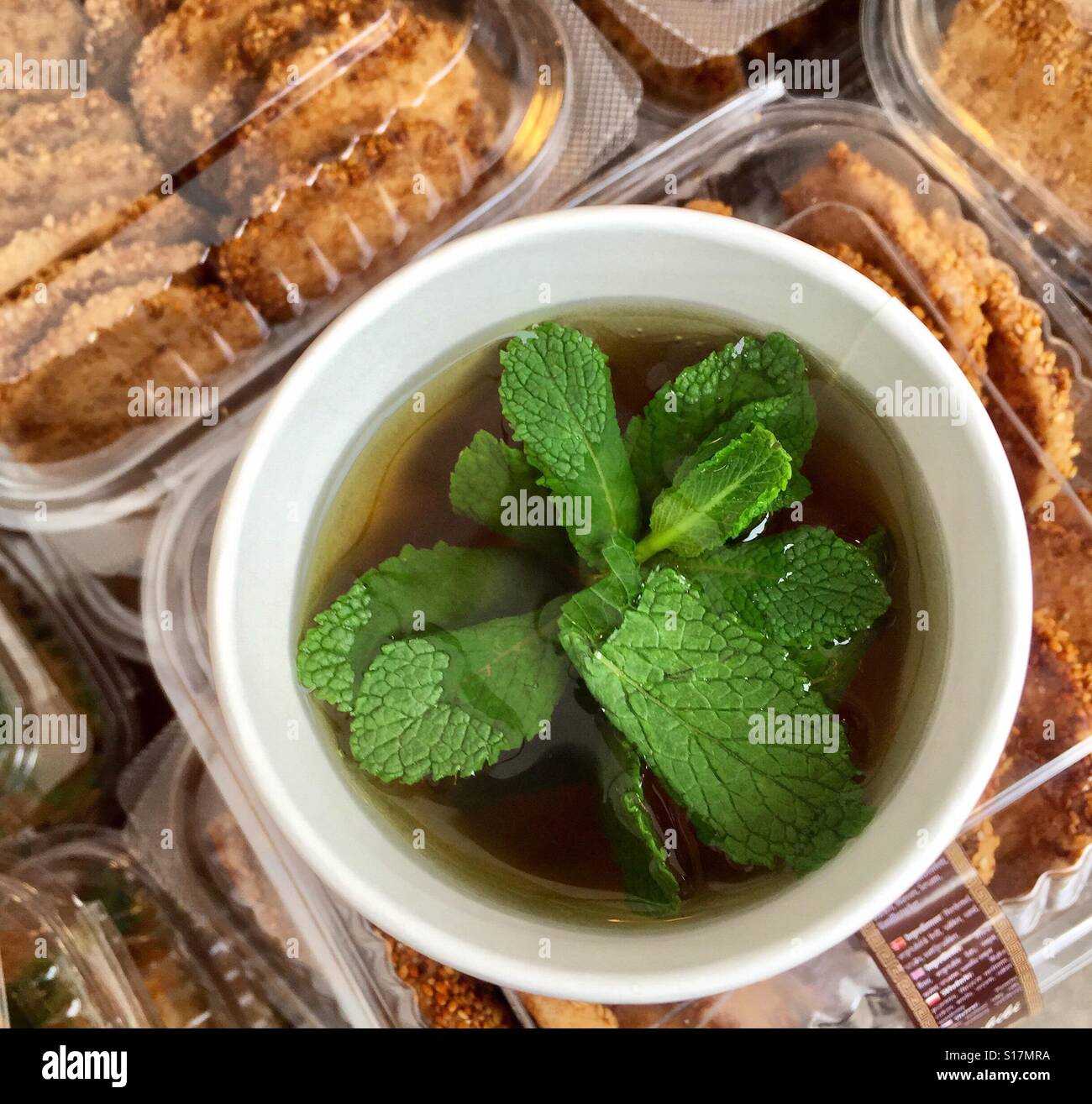 Eine Tasse heißen frischen Kräutertee für das kalte Wetter, Berlin Stockfoto