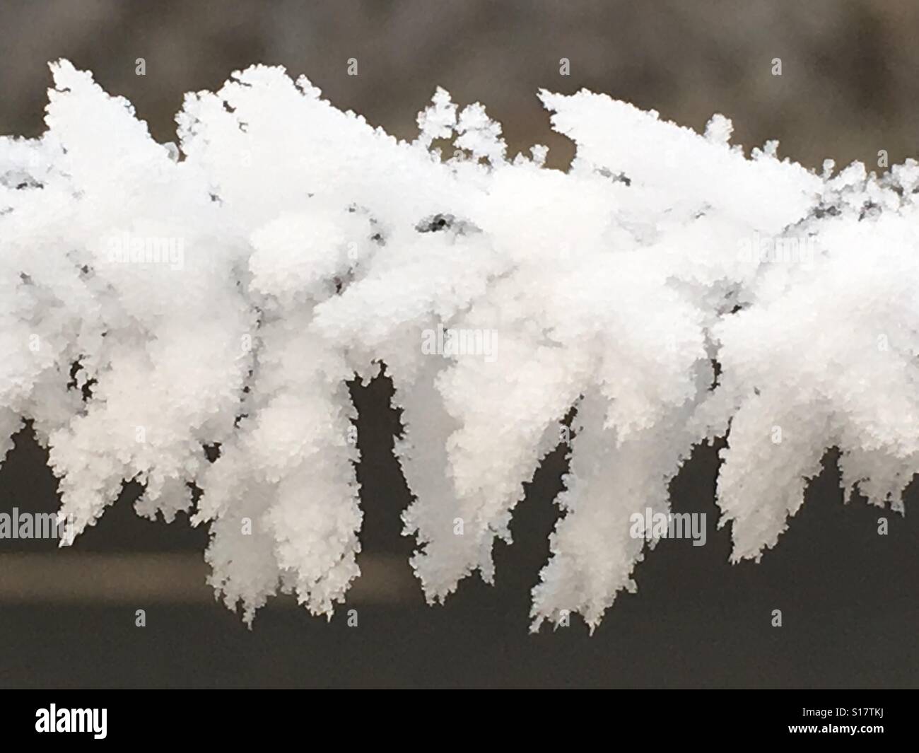 Raureif auf Stacheldrahtzaun Stockfoto