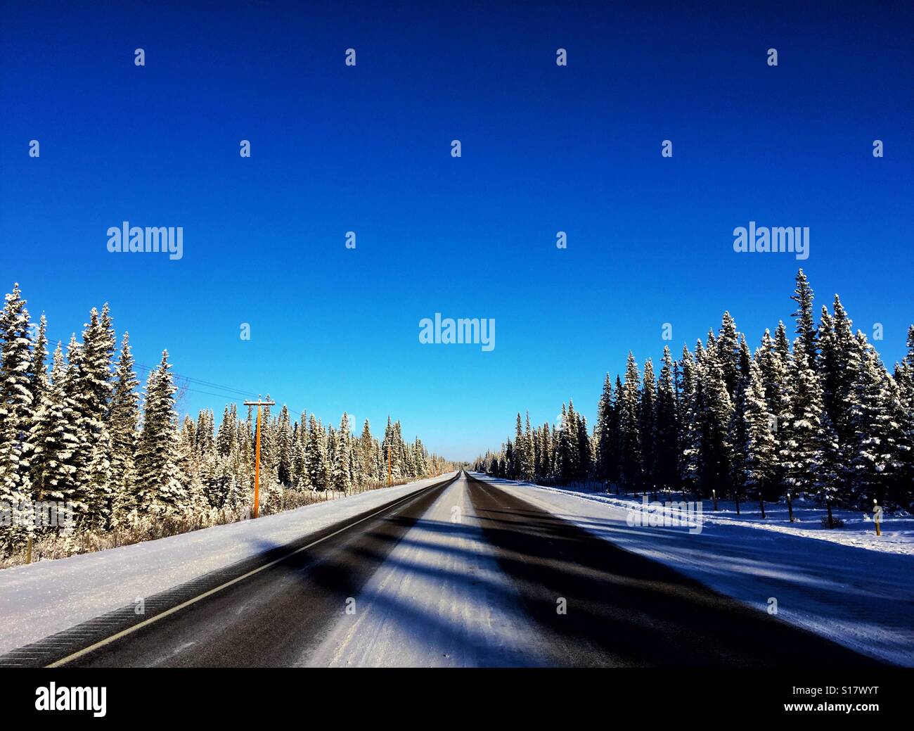 Winter Zeit Fahrbahn am späten Nachmittag mit Baum Schatten fallen auf der anderen Straßenseite Stockfoto