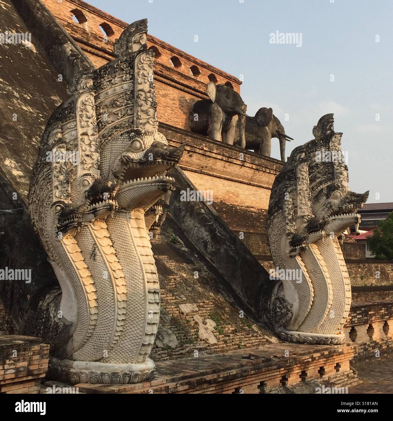 Ein paar Treppen Schlange im Wat Chedi Luang, Chiang Mai, Thailand Stockfoto