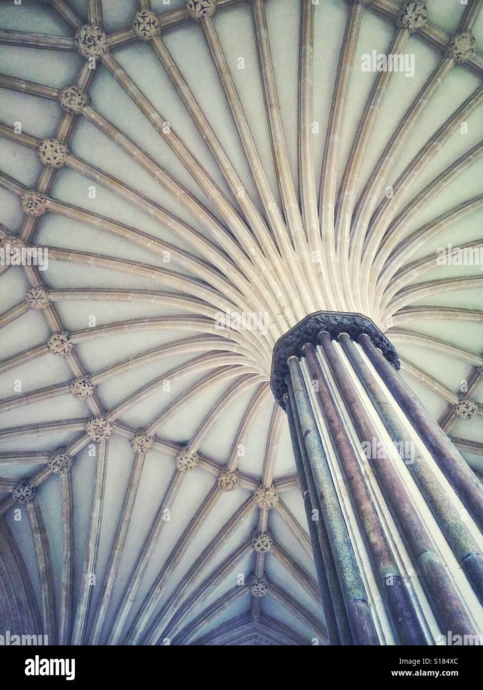 Säulen in der Marienkapelle an der Kathedrale von Wells, Somerset Stockfoto