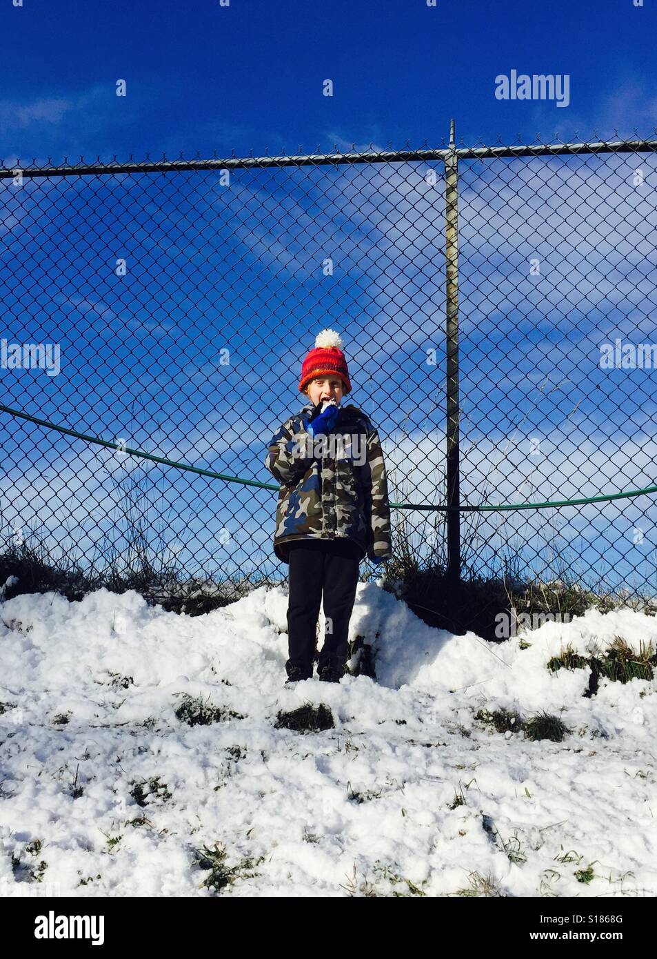 Junge Essen Schnee mit einem Zaun und einem blauen Himmel im Hintergrund Stockfoto