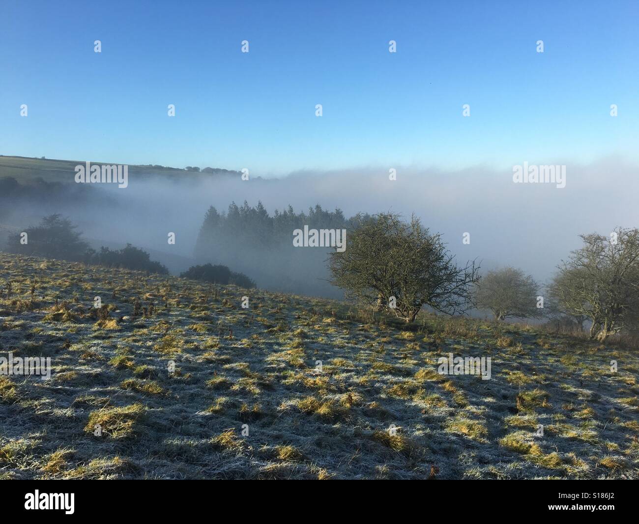 Über dem Nebel-Niveau auf der Berkshire Downs mit Frost auf dem Boden an einem kalten Wintertag im Dezember - Smartphone-aufgenommenes Stockfoto