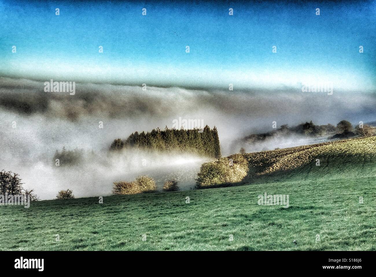 Über dem Nebelschicht auf der Berkshire Downs an einem hellen kalten frostigen Tag im Dezember Stockfoto