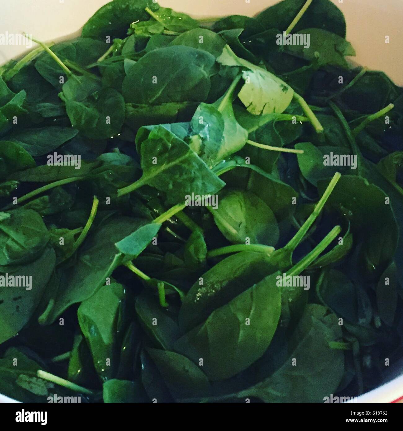 Frische Bio Spinat einweichen in eine Schüssel mit Wasser in der Vorbereitung für einen gesunden Salat von k.r. Stockfoto