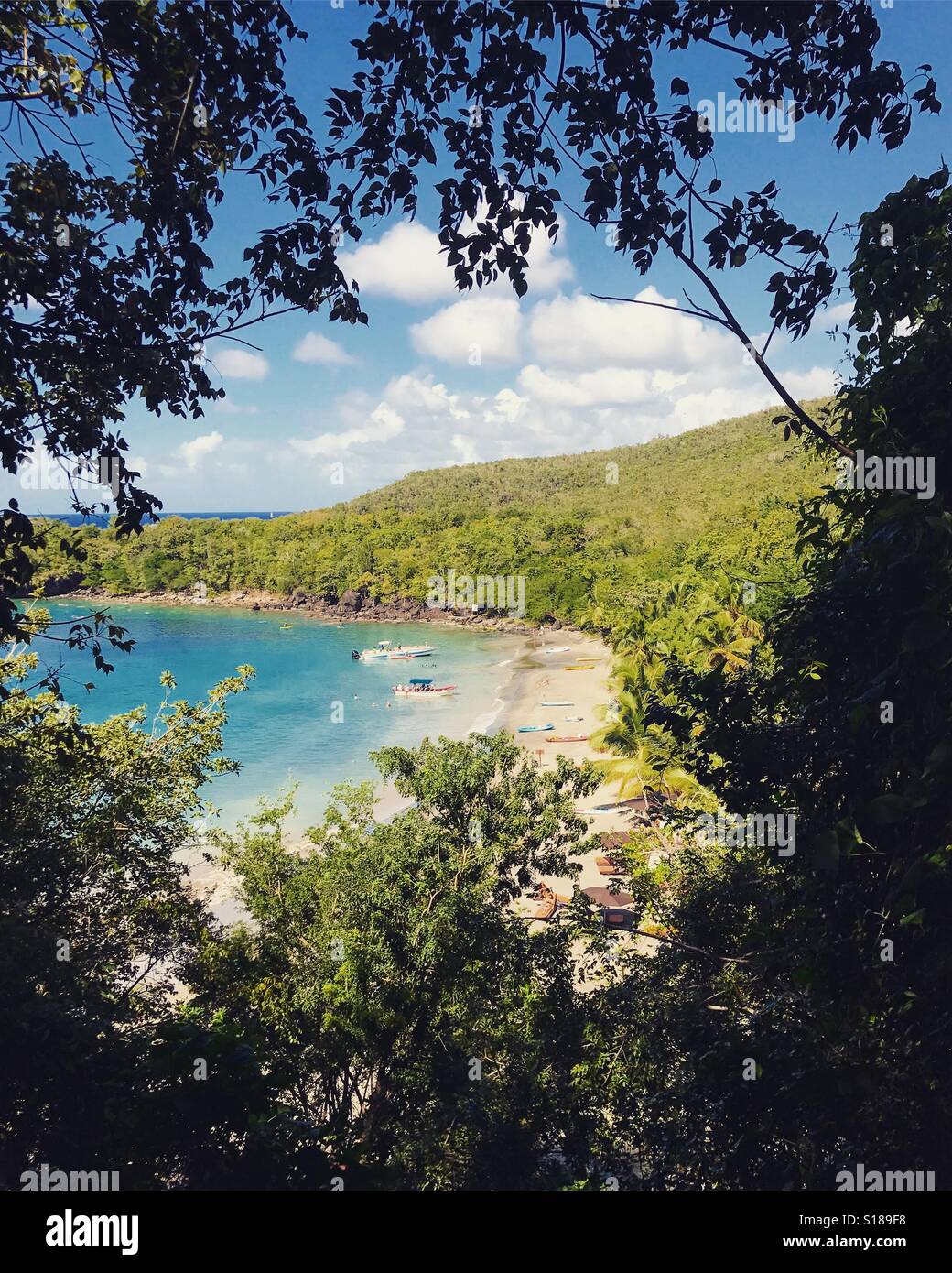 Ansicht des Strandes durch Laub - St. Lucia - Karibik Stockfoto