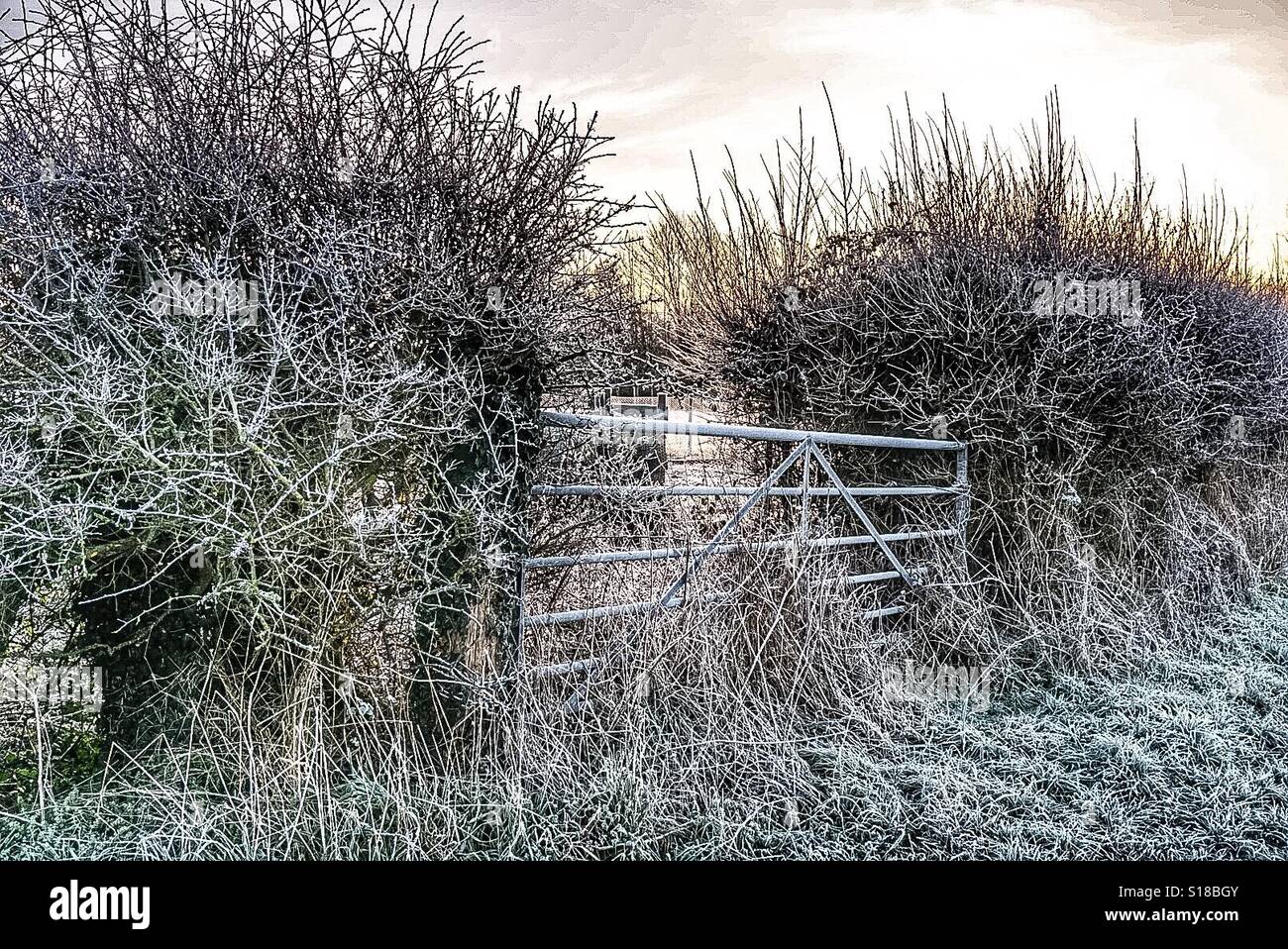 Frostigen Tor Stockfoto