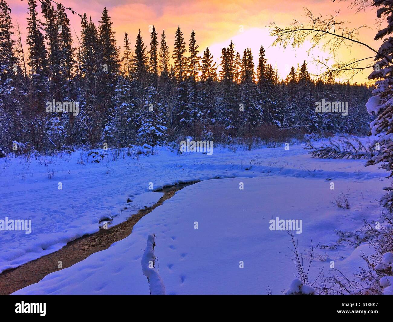 Fish Creek bei Sonnenuntergang in Calgary, Alberta, Kanada Stockfoto