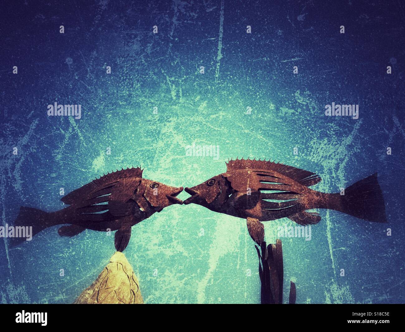 Fische-Kuss - Smartphone-aufgenommenes Stockfoto