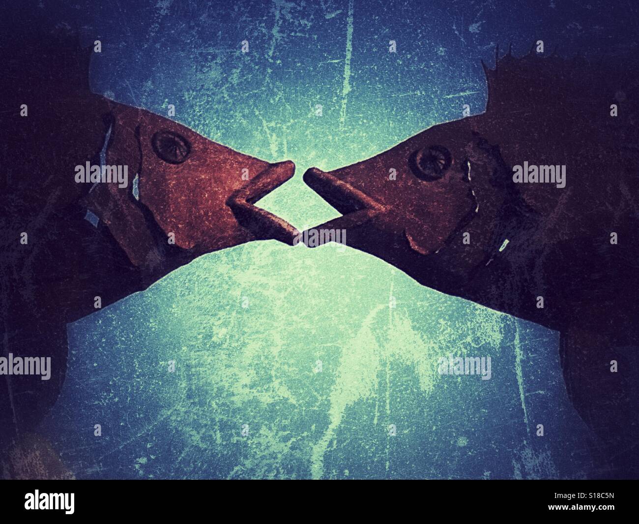 Fische-Kuss - Smartphone-aufgenommenes Stockfoto