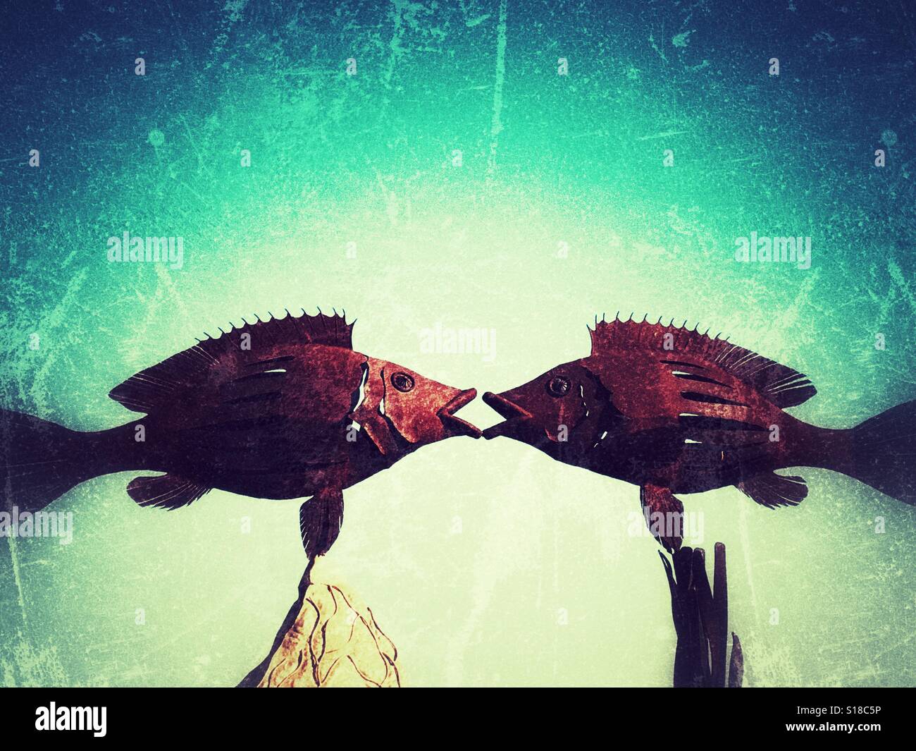 Fische-Kuss - Smartphone-aufgenommenes Stockfoto