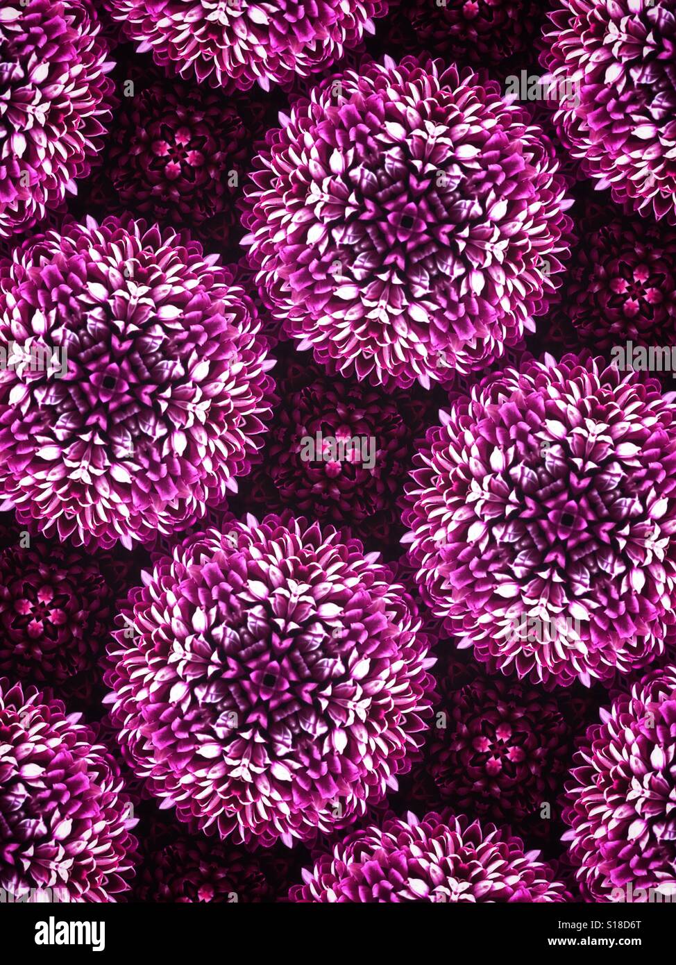Eine schöne abstrakte Muster-Bild zeigt Gus seine violett farbige Blumen - Smartphone-aufgenommenes Stockfoto