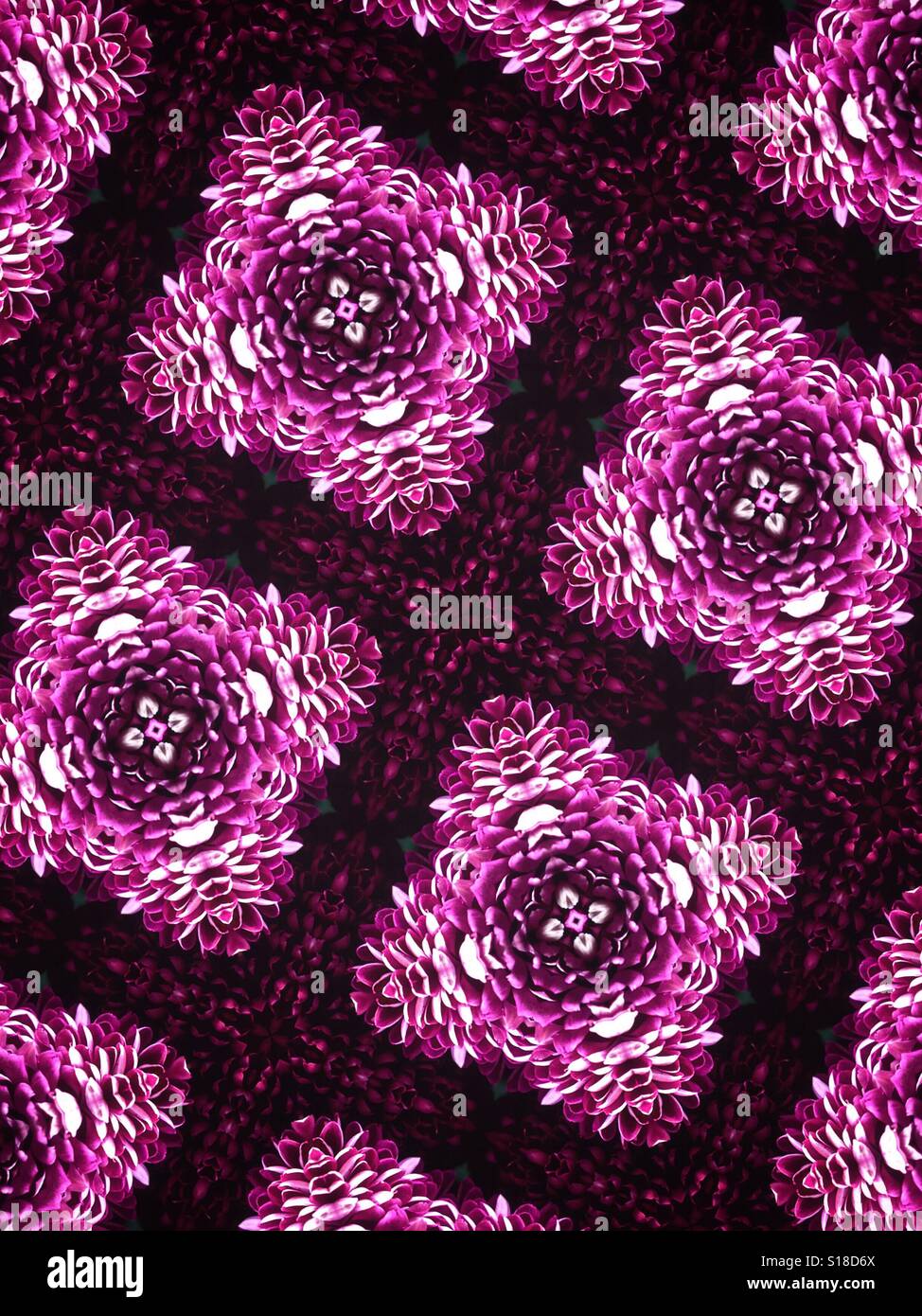 Eine schöne abstrakte Muster-Bild zeigt Gus seine violett farbige Blumen - Smartphone-aufgenommenes Stockfoto