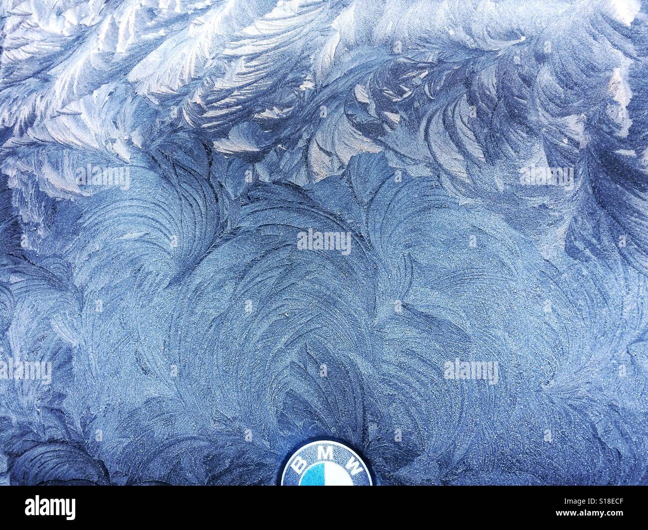 Frost auf einer BMW Stockfoto