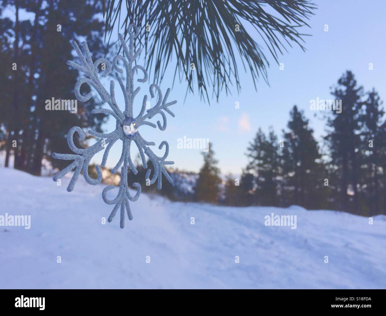 Snow Flake Ornament funkelt auf dem Ast einer Tanne im Schnee bedeckt Wald an einem Winterabend. Stockfoto
