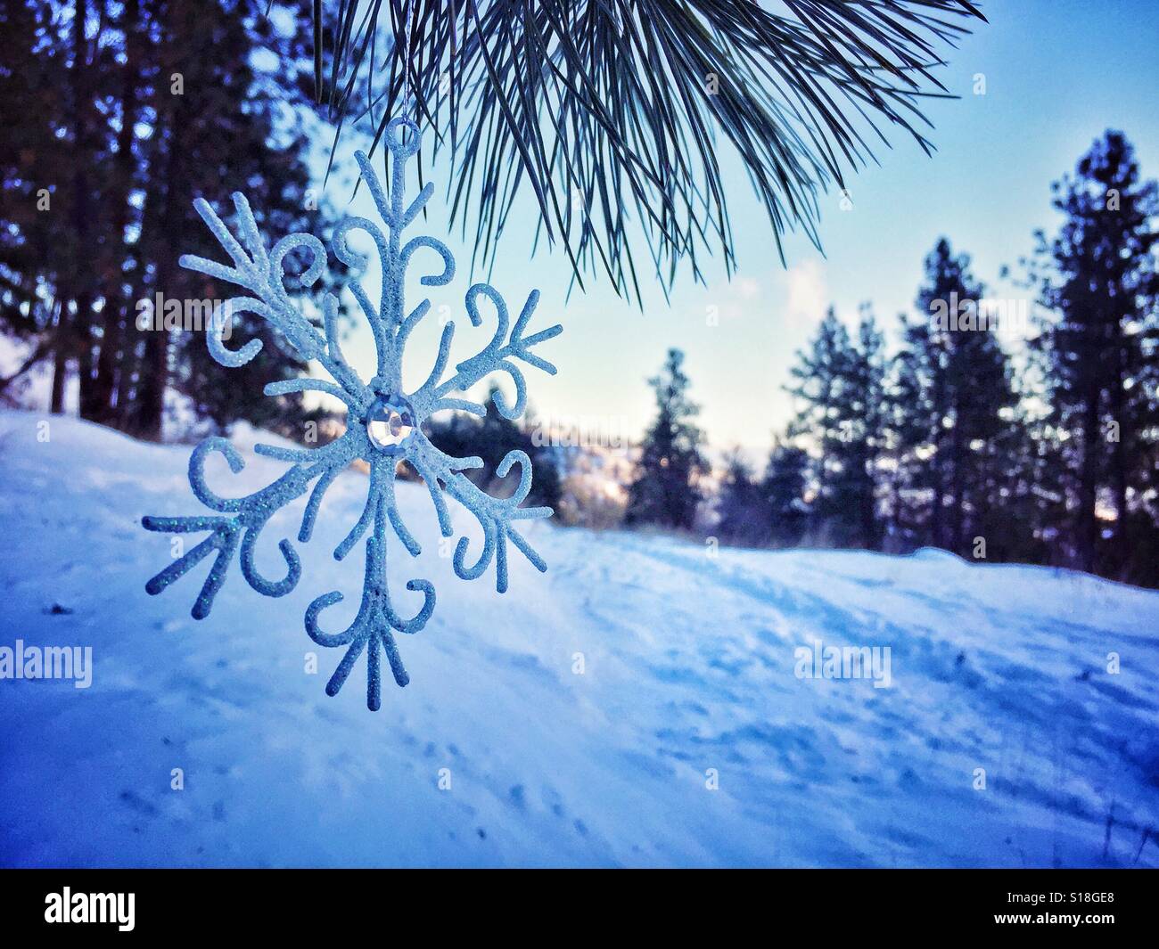 Snow Flake Ornament hängen an dem Ast einer Tanne an einem kalten verschneiten Winter-Nachmittag. Stockfoto
