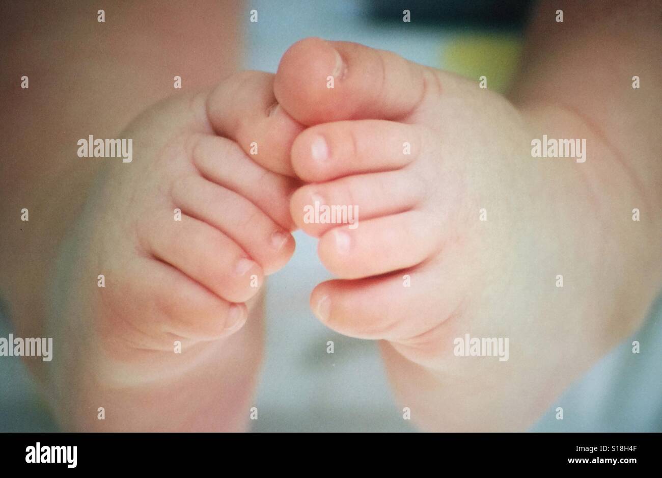 Eine Nahaufnahme eines Babys Füße und Zehen Stockfoto