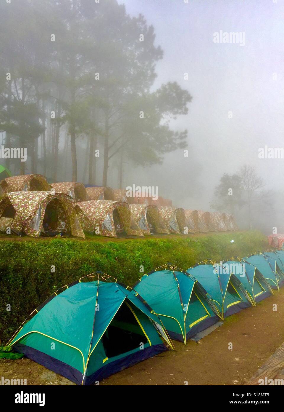 Zelte für die Vermietung an Doi Angkhang, Doi Pha Hom Pok Nationalpark, Chiang Mai, Thailand Stockfoto