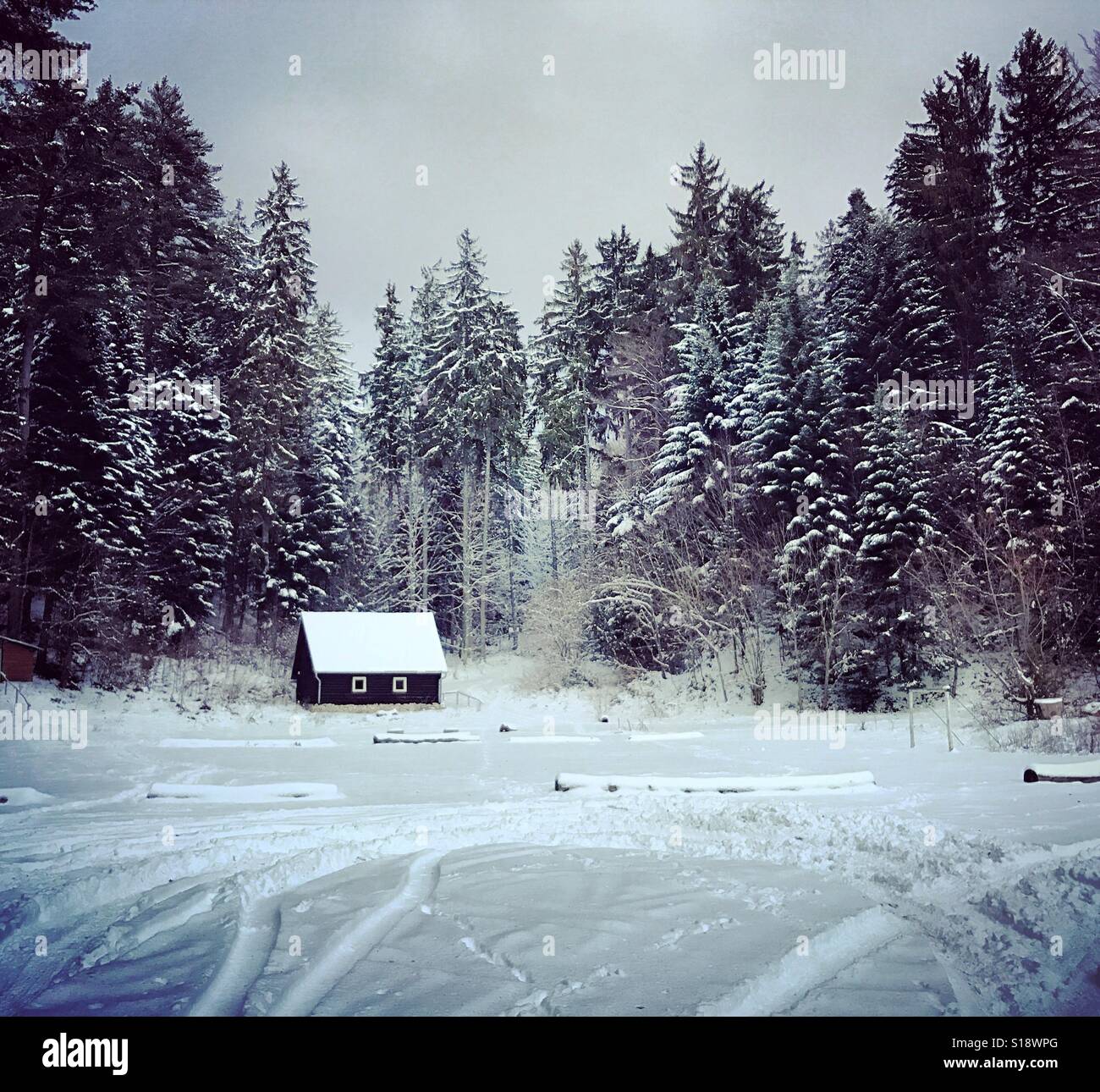 Hölzerne Hütte im Wald im Winter. Winterlandschaft. Schneebedeckte Haus mitten im Wald. Berghütte im Winter verschneiten Bäumen umgeben Stockfoto